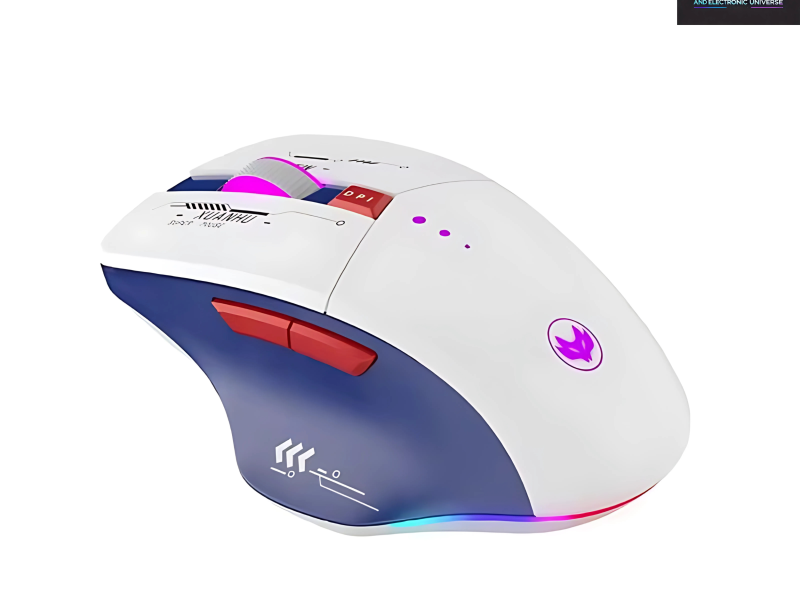 Souris Ergonomique Sans Fil RGB Couso G30LD